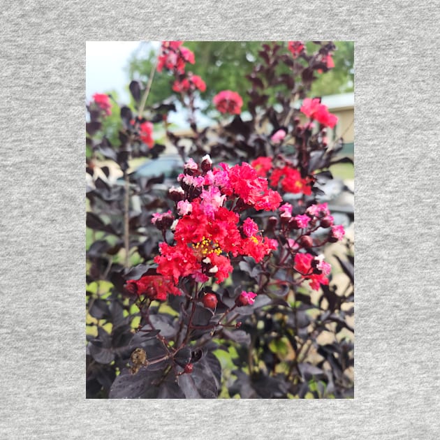 Crepe Myrtle by Spring River Apparel 